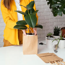 Paper Bags With Handles Bulk