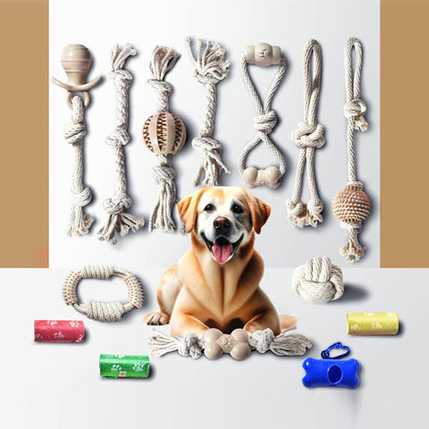 Stride Small Dog Toys, Pack of 10, Rope Toys Set for Small & Medium Dogs, Non-Toxic & Dye Free Cotton Chew Toys for Puppy, Interactive Puppy Teething Dog Toys, Durable Toys for Anxiety & Boredom